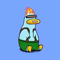 8084