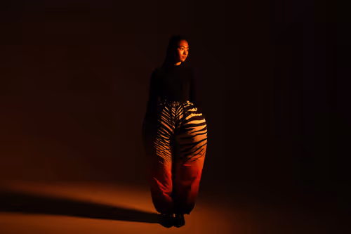 Item #3001223000004 Media