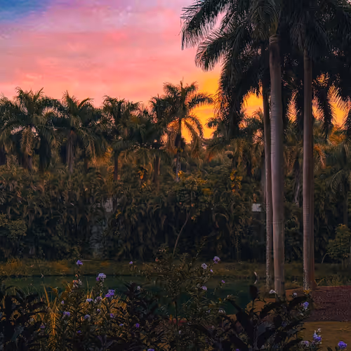 Sunset at Inhotim