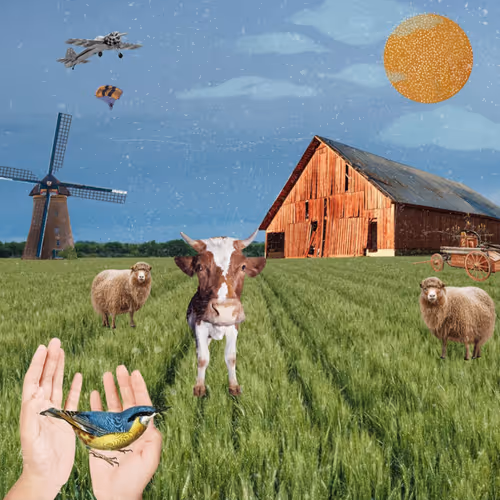 A Bird In The Hand 1