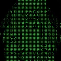 251