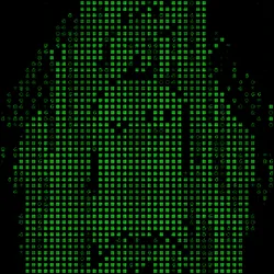 593