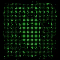 381