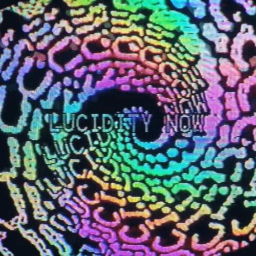Lucidity Now by Sarah Zucker