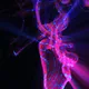 Neural Controller System
