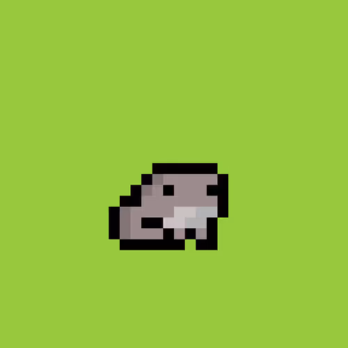 Tinyfrogslol