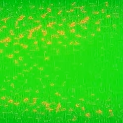 Green Fields 57