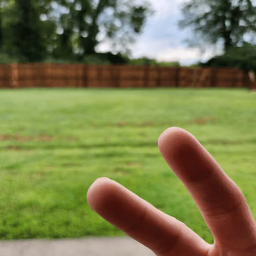 In Mom's Backyard
