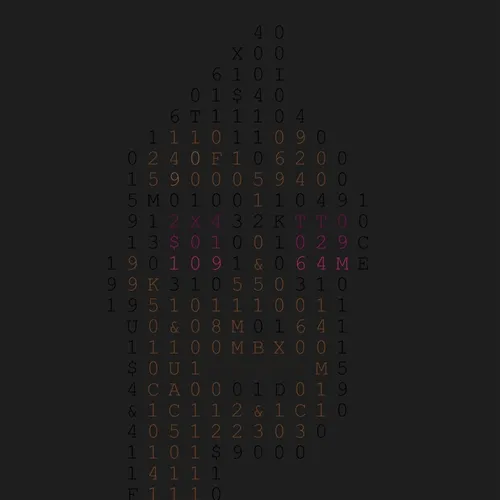 shapunk529