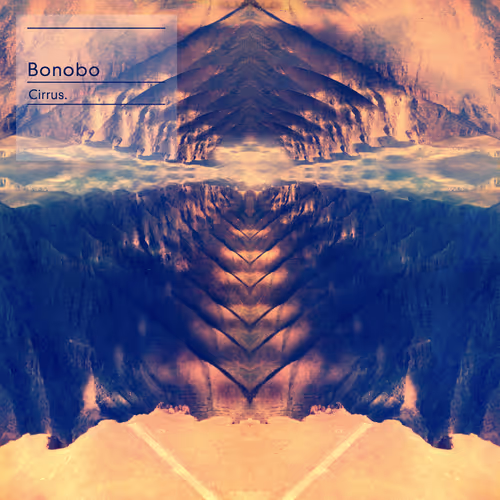Bonobo 4