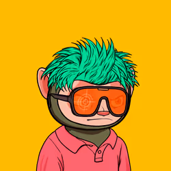 53