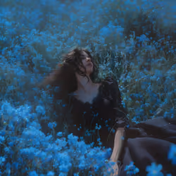 A field of flowers.