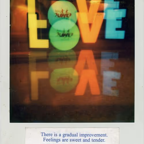 Polaroid Fortune