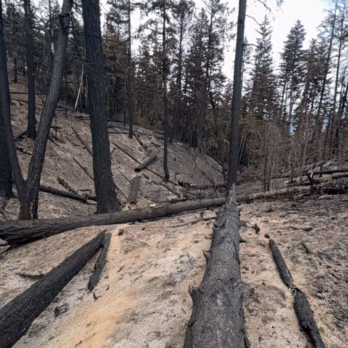 0xfa43efffab2f3e241d945263269d6ff1bb9343a3