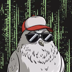 135