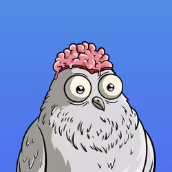 334