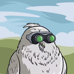 70