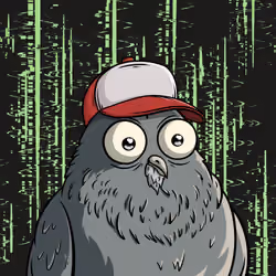 335