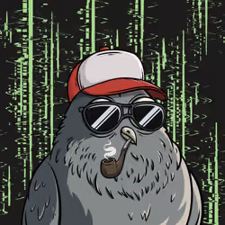 223