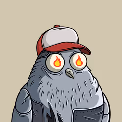 31