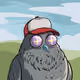 79