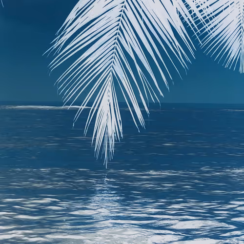 SUMMER - Limited #2