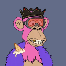 53