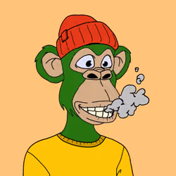 41