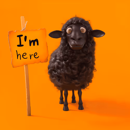 The Black Sheep Chronicles