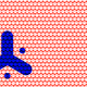 36