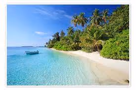 Playa2