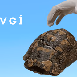 Sevgi İle İyileştir #13