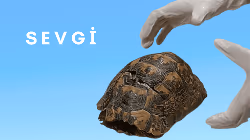 Sevgi İle İyileştir #45