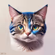 Crazy Cat