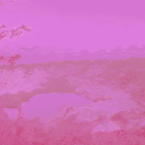 lvndsc4p3