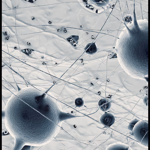 ERTal by 0xsh#534