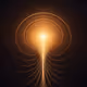 The Light of Wisdom