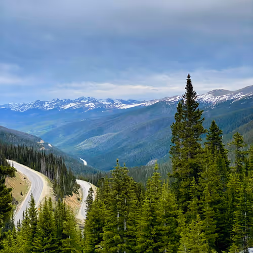 go out and touch snow