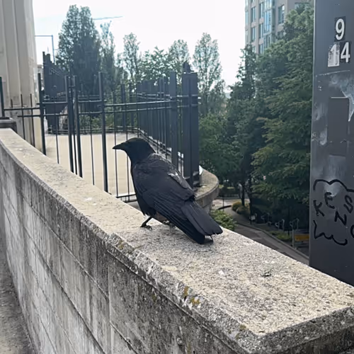 Unidentified contract dcbbe20b-ddfd-4571-8e3f-2b7c91777fc3