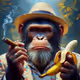 Monkey