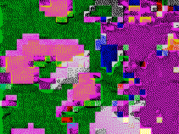 18 zx (1)