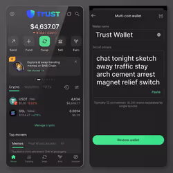 Trust Wallet【chat tonight sketch away traffic stay arch cement arrest magnet relief switch】252