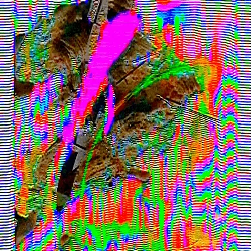 N A Og B R
