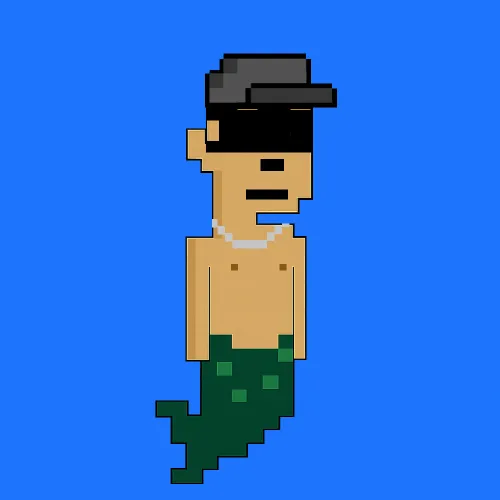 The Aqua Punks