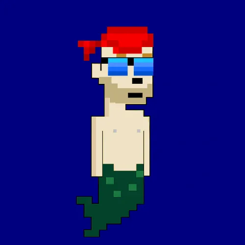The Aqua Punks