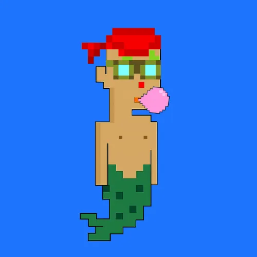 The Aqua Punks