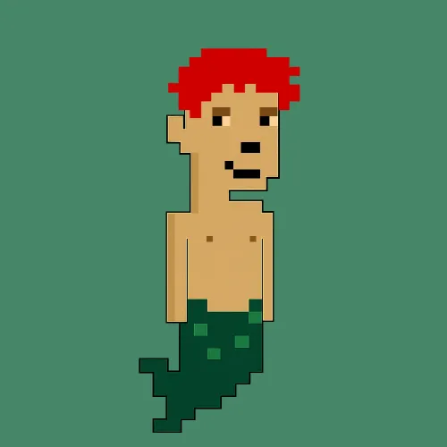 The Aqua Punks