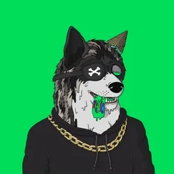 Mutant Shiba #804
