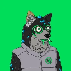 Mutant Shiba #381