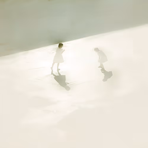 Sunny day’s shadows